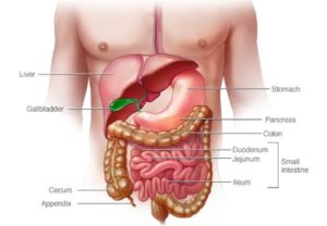Crohn's disease aayurveda medicine 