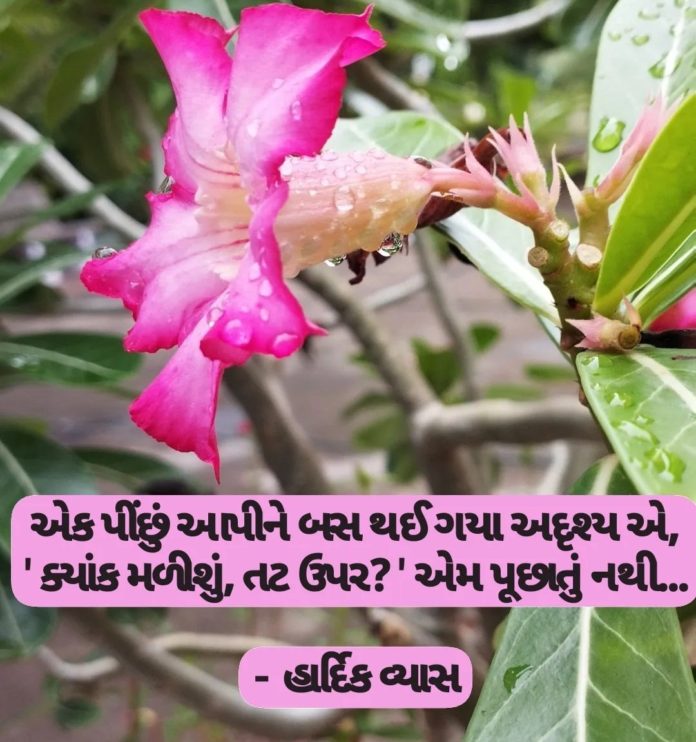 Gujarati poem collection gujarati kavita hardik vyas pind thi  brahmand kavy panktio